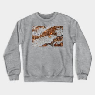 Autumn Still Life Crewneck Sweatshirt